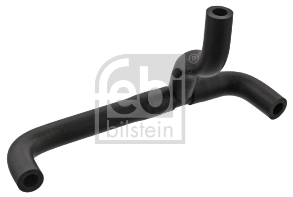 Hose, crankcase ventilation